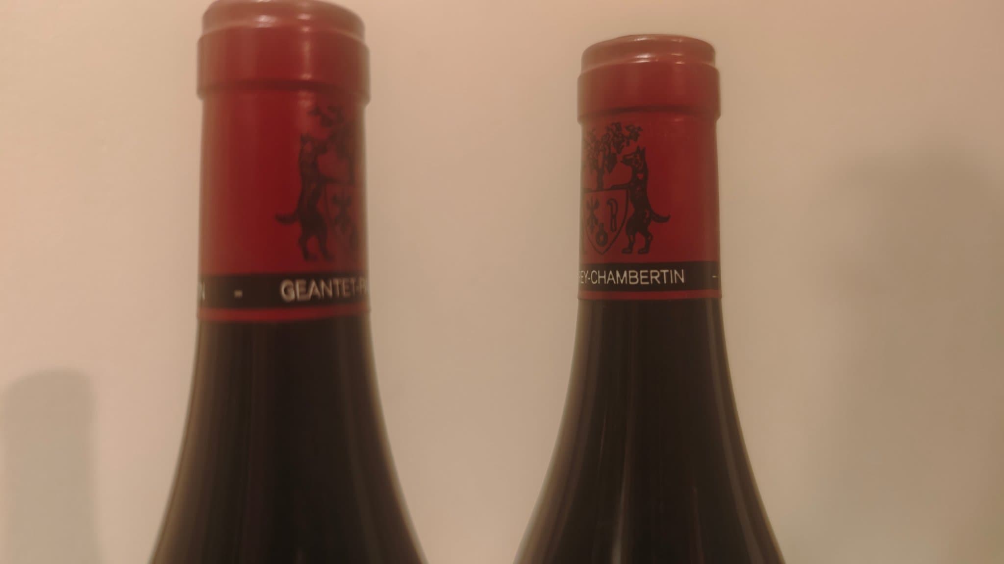 Wine Level
