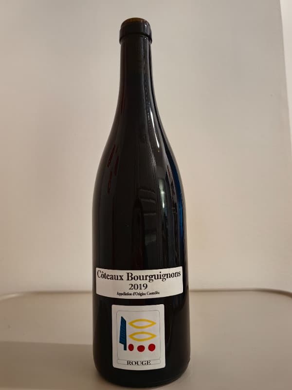 Côteaux Bourguignon, Domaine Prieuré Roch, 2019