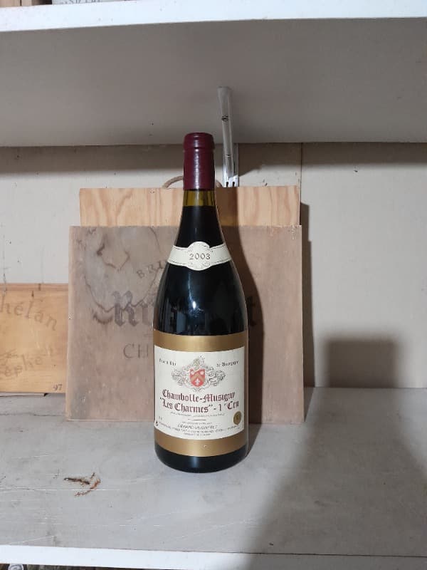 Chambolle-Musigny, 1er cru les Charmes, Mugneret Gérard, 2003 (Magnum)