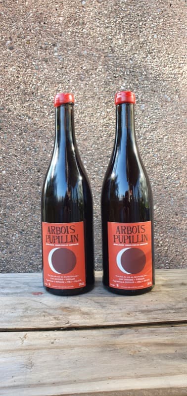 2 x Bruyère-Houillon Ploussard 2015 et 2016, Arbois-Pupillin