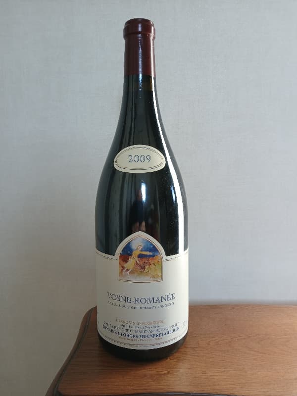 Vosne-Romanée, Domaine Georges Mugneret-Gibourg, 2009 (Magnum)