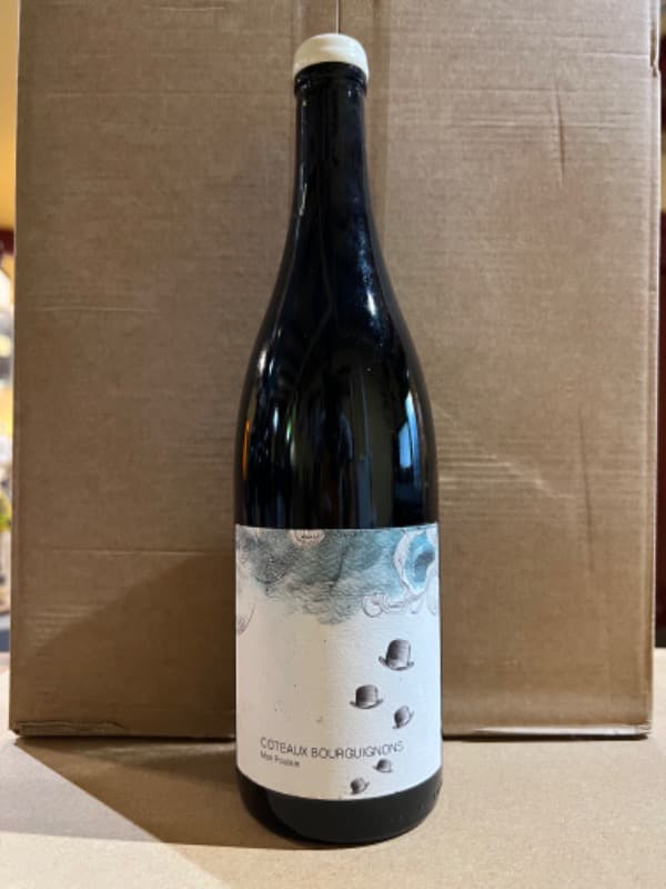 Bourgogne, Coteaux bourguignons mon poulain, Domaine des Horées, 2021