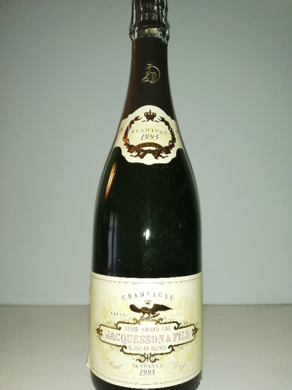 Avize Grand Cru Blanc de Blancs, Champagne Jacquesson, Champagne, 1995