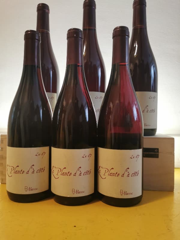6 x La Plante d'à côté, BiNaume - Bizot Naudin, Vin de France, 2017