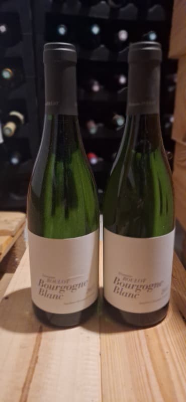 2 x Bourgogne, (Bc/Wh), Domaine Roulot, 2017