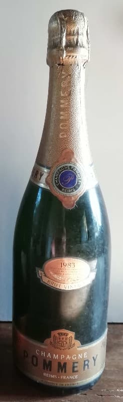 Brut Vintage, Pommery, Champagne, 1983