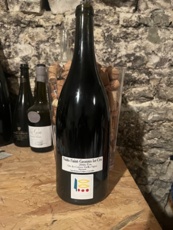 Nuits-Saint-Georges, 1er cru Clos des Corvées V. V., Prieuré Roch, 2016 (Magnum)