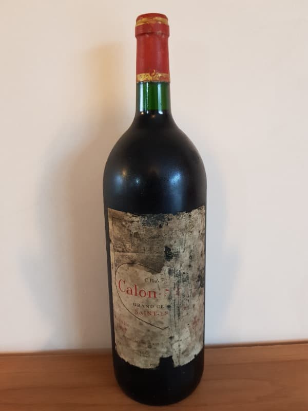3ème GCC, Château Calon Segur, Saint-Estèphe, 1995 (Magnum)