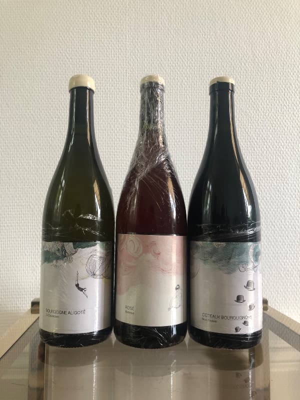 3 x Bourgogne, En Coulezain / Bonheur / Mon Poulain, Les Horées - Catharina Sadde, 2021