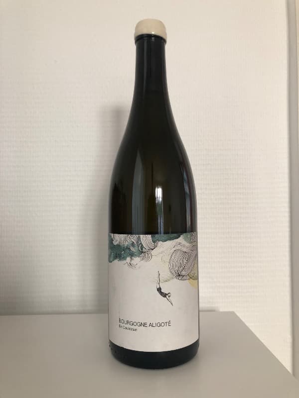 Bourgogne Aligoté, En Coulezain, Les Horées - Catharina SADDE, 2021