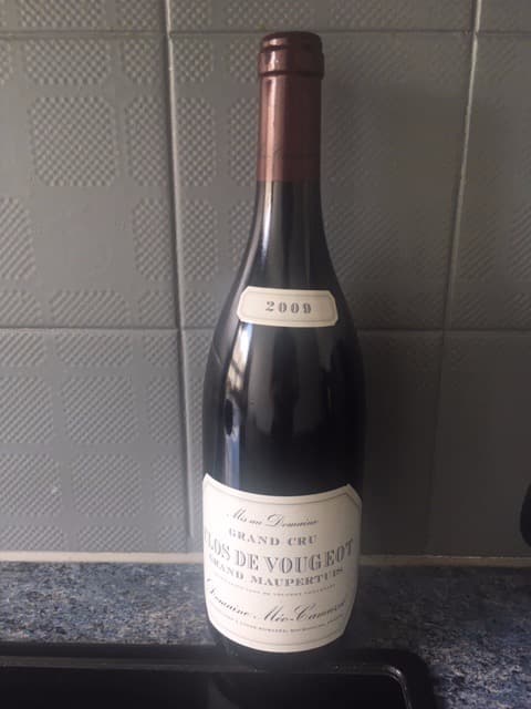 Clos de Vougeot, Grand Maupertuis, Méo Camuzet, 2009