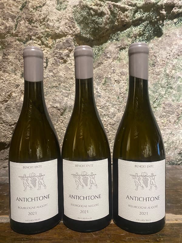 3 x Bourgogne Aligoté, Antichtone, Domaine Benoit Ente, 2021
