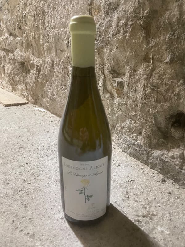 Bourgogne Aligoté, Les Champs d'Argent, Charles Lachaux, 2020