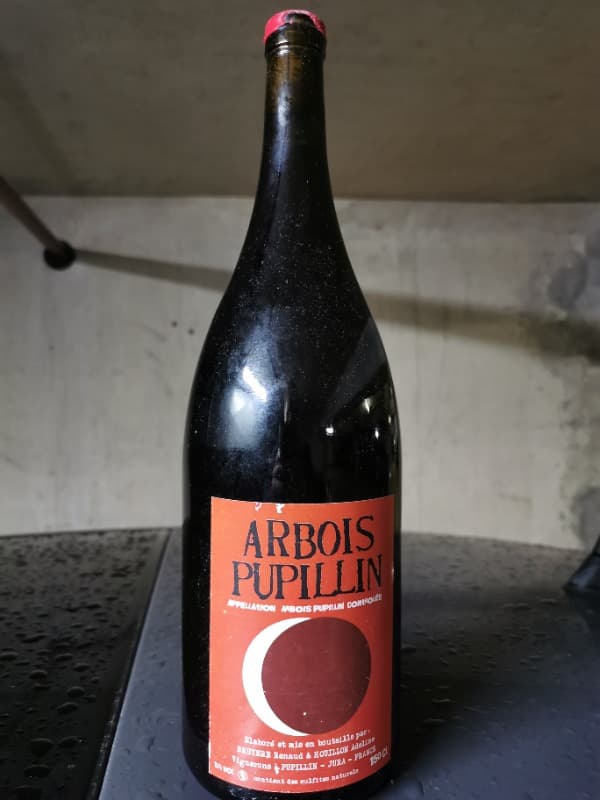 Ploussard, Adeline Houillon- Renaud Bruyère, Arbois-Pupillin, 2015 (Magnum)