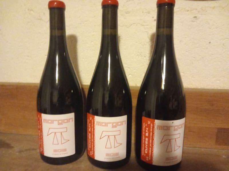 3 x Cuvée 3.14, Domaine Foillard, Morgon, 2016