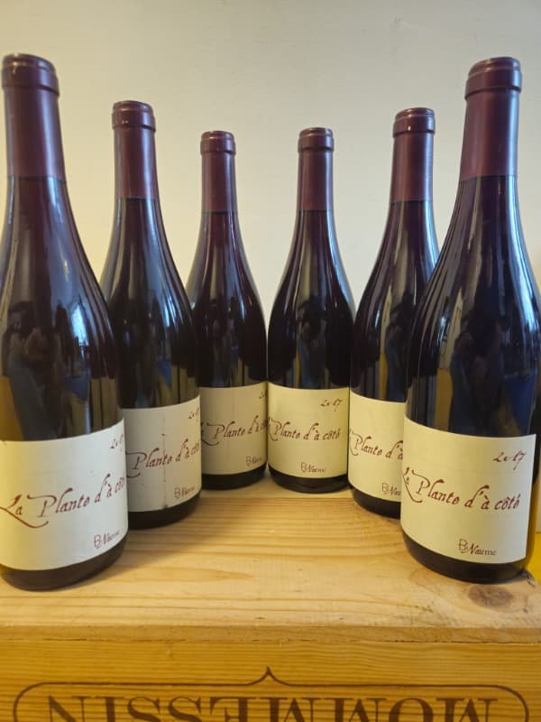 6 x La Plante d'à Côté, Binaume (Bizot-Naudin), Vin de France, 2017