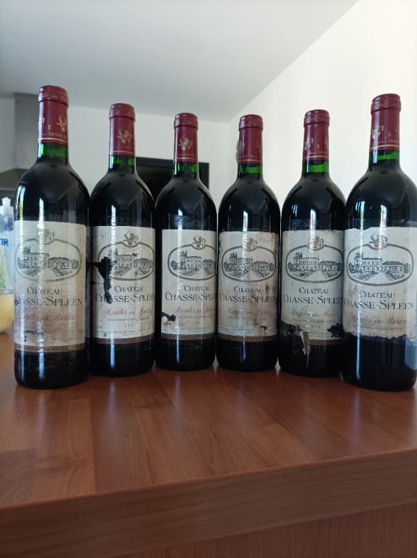 6 x château Chasse-Spleen, Moulis-en-Médoc, 1993