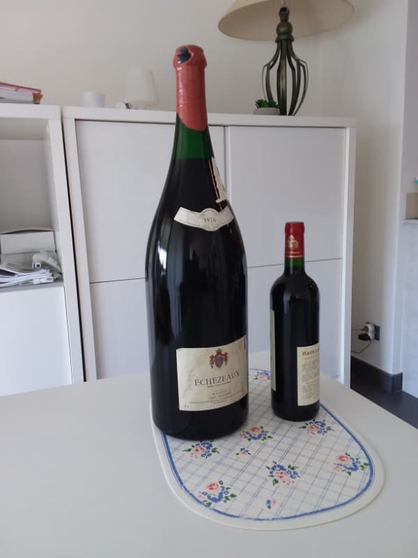 Echézeaux, Gerard Mugneret proprietaire, 1976 (Mathu. 6l)