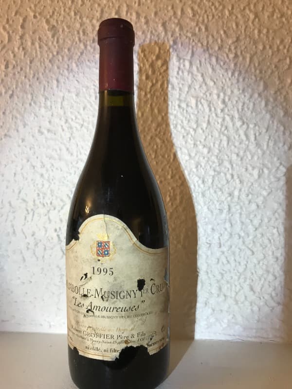 Chambolle-Musigny, Premier cru Les Amoureuses, Robert Groffier, 1995