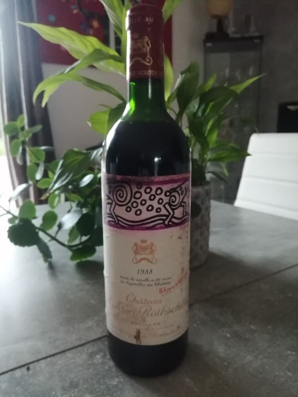 Château Mouton Rothschild, Pauillac, 1988