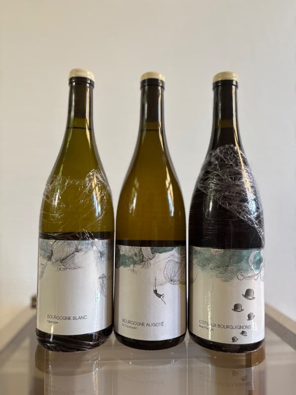 3 x Bourgogne, Aganippe / En Coulezain / Mon Poulain, Les Horées - Catharina Sadde, 2022
