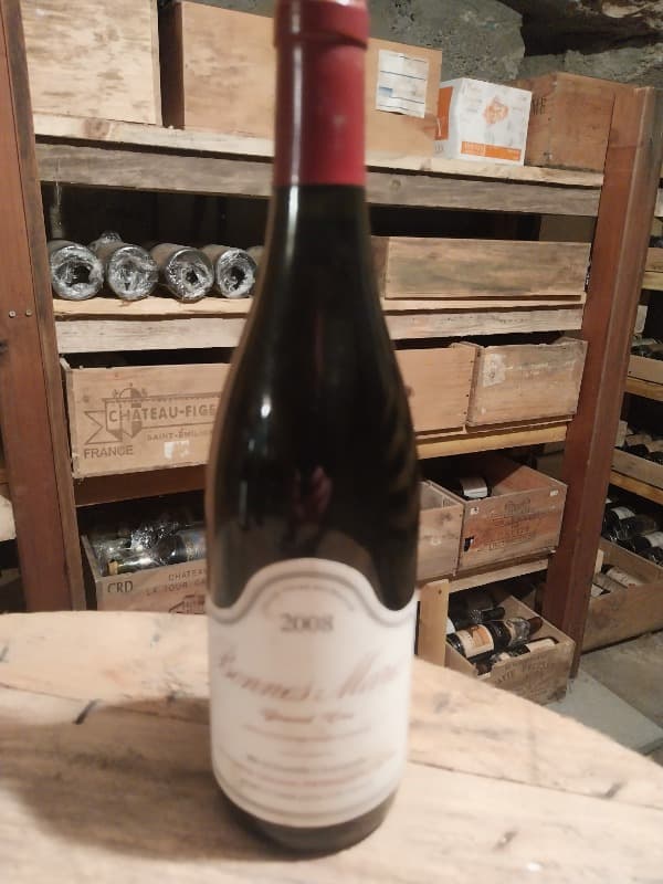 Bonnes-Mares, Grand cru, Gérard Peirazeau et Fils, 2008