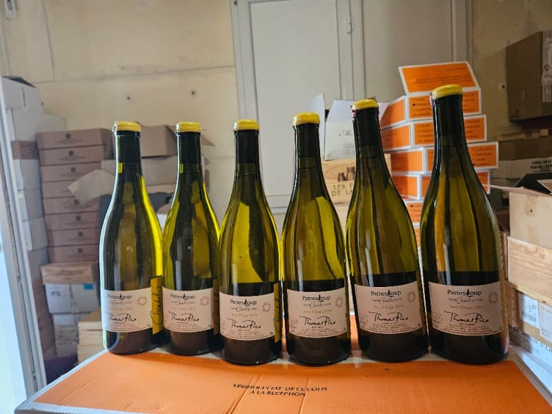 6 x Chablis, Pattes Loup, Thomas Pico, 2016