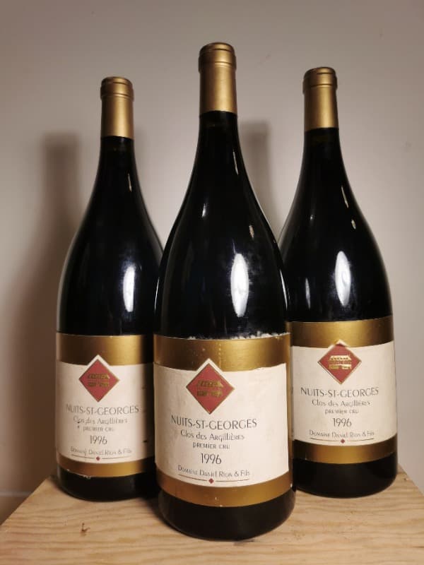 3 x Nuits-Saint-Georges, 1er Cru - Clos des Argillières, Domaine Daniel Rion, 1996 (Magnum)