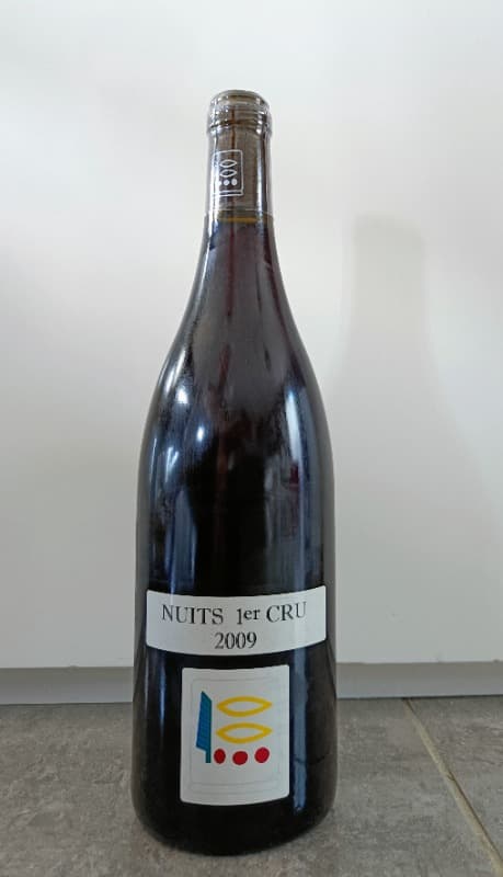 Nuits-Saint-Georges, Nuits 1er Cru, Prieuré Roch, 2009