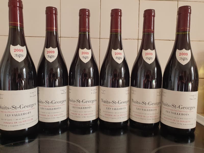 6 x Nuits-Saint-Georges, Nuits st georges les Vallerots, Domaine de la poulette, 2009
