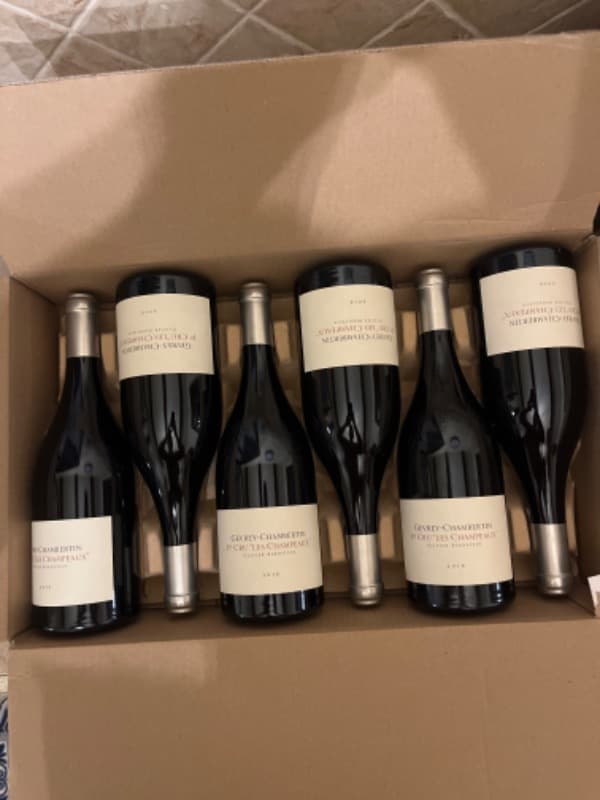 6 x Gevrey-Chambertin, 1er cru - Les Champeaux, Olivier Bernstein, 2016