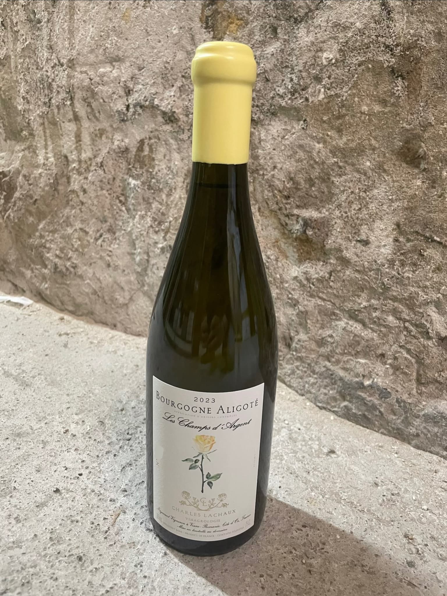 Charles Lachaux, Bourgogne Aligoté, Les Champs D'Argent, 2023