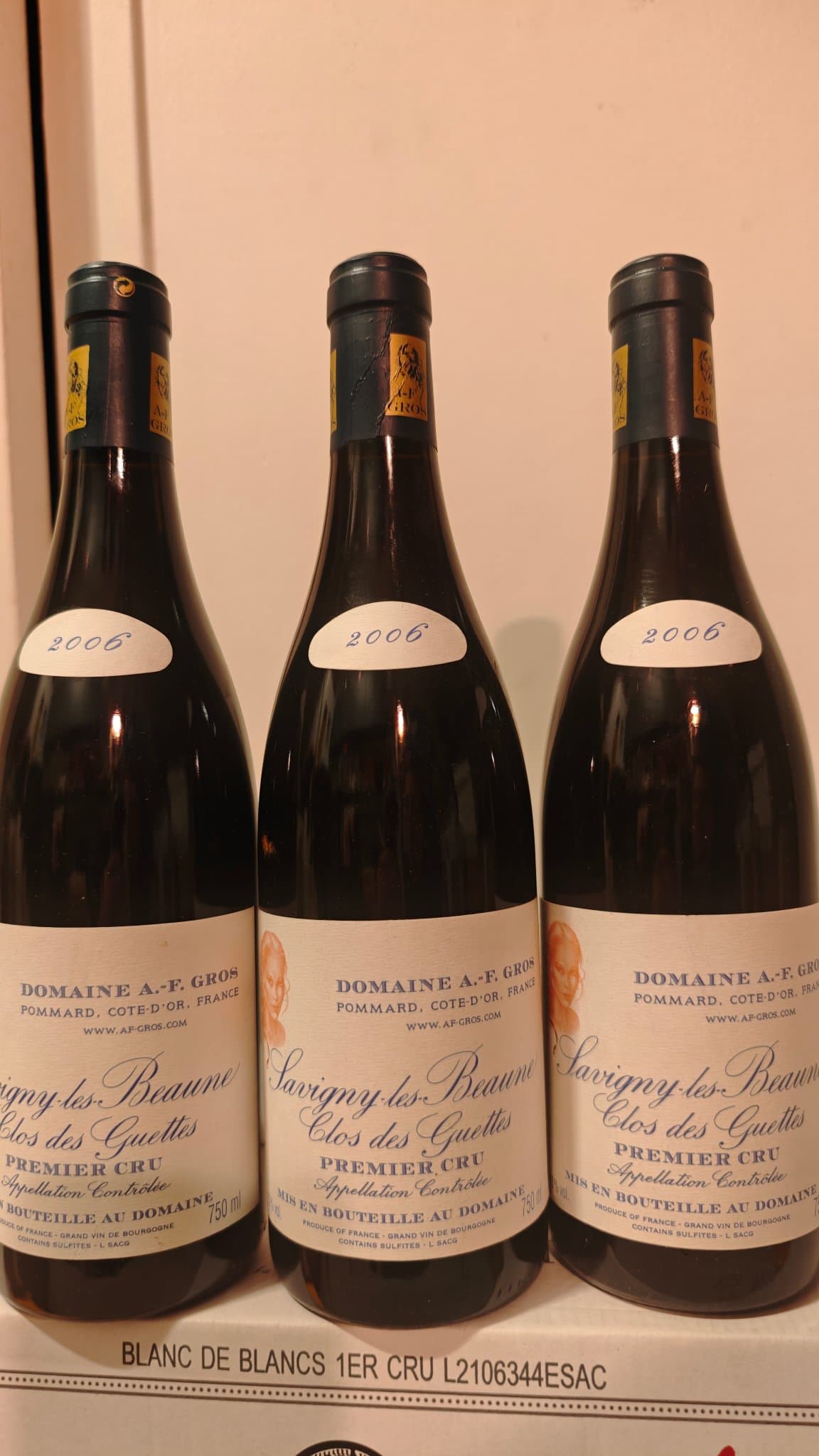 3 x Domaine Anne-Françoise Gros, Savigny-lès-Beaune Premier Cru, Aux Guettes, 2006